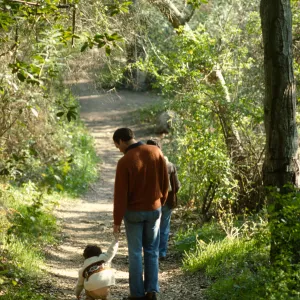SBBG vistors walking on the Canyon Trail