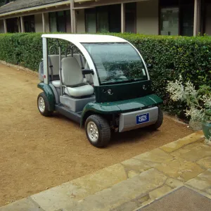 New electric cart
