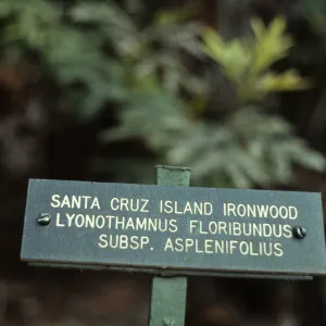 Ironwood plant sign