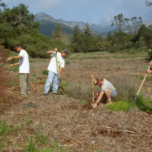 Dave Kershaw and Mark Stubler in the Meadow, volunteer grounds crew, laying chip mulch
