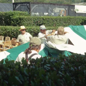 Setting up a canopy in the Courtyard