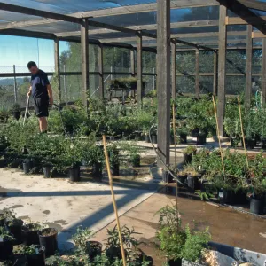 Andrew Wyatt, plant propagator, Horticulture Unit, shade structure