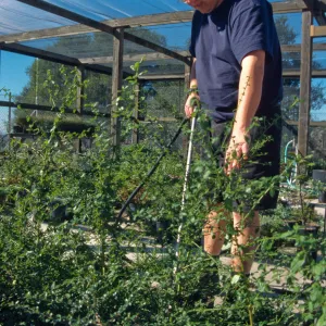 Andrew Wyatt, plant propagator, Horticulture Unit