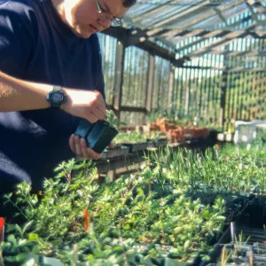 Andrew Wyatt, plant propagator, Horticulture Unit