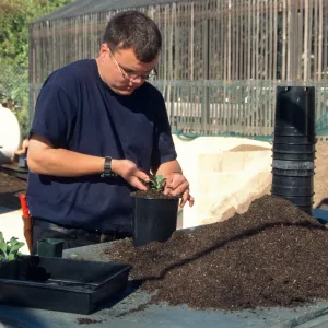 Andrew Wyatt, plant propagator, Horticulture Unit