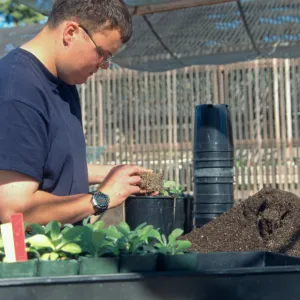 Andrew Wyatt, plant propagator, Horticulture Unit