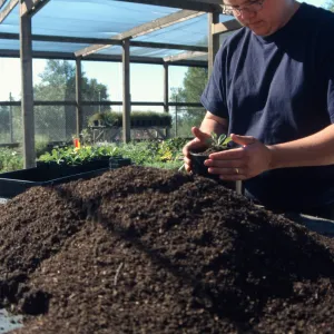 Andrew Wyatt, plant propagator, Horticulture Unit