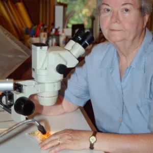 Shirley Tucker, lichenologist, microscope