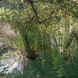 Meadow Pond, Garden Works Event