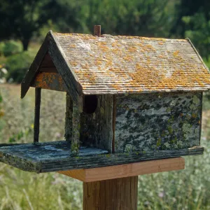 bird house, Garden Works Event
