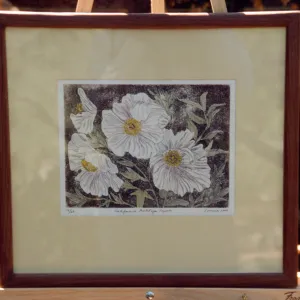 Matilija poppies artwork, Garden Works Event