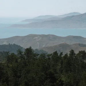 Santa Cruz and Santa Rosa Islands