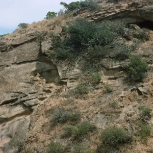 Trancion Canyon, Santa Rosa Island