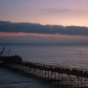 Unloading cattle, Santa Rosa Island