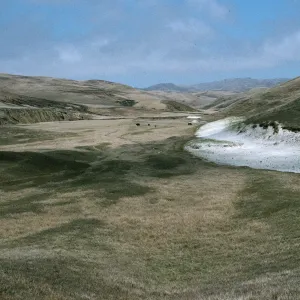 Arlington Canyon, Santa Rosa Island