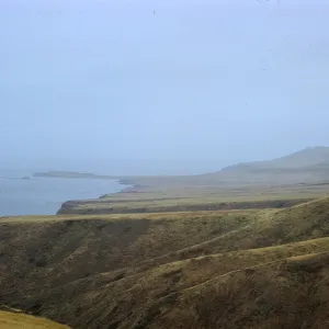 Fraser Point, Santa Cruz Island
