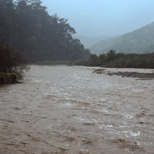 Flash Flood, Santa Cruz Island