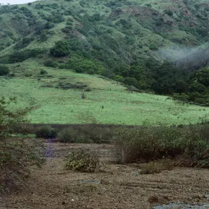 Central Valley, Santa Cruz Island