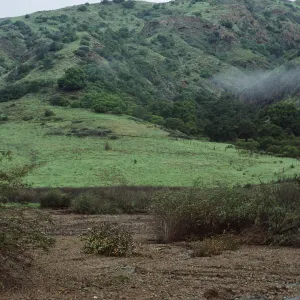 Flood plain, Central Valley, Santa Cruz Island