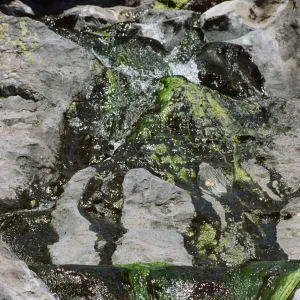 La Cascada, Santa Cruz Island