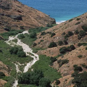 Horqueta Canyon, Santa Cruz Island