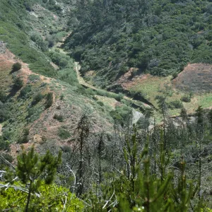 Campo Raton, Santa Cruz Island