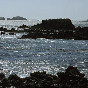 Rocks at Forney Cove, Santa Cruz Island