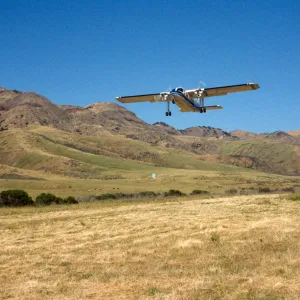 airplane at Christy airstrip, Santa Cruz Island