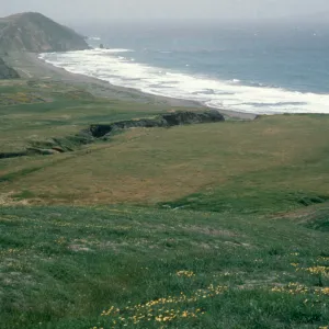 Santa Cruz Island