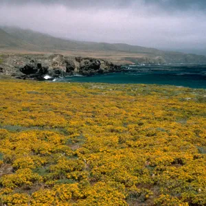 west end of Santa Cruz Island