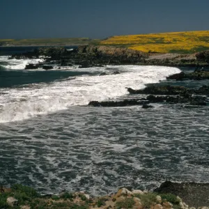 beach at Santa Cruz Island