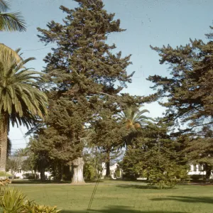 East Alameda Plaza 