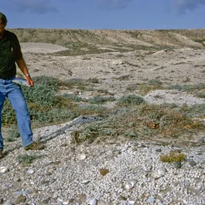 Jim Blakley on San Nicolas Island