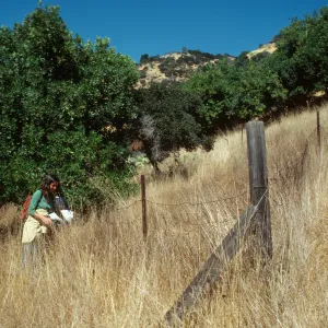 Mary Carroll on Santa Cruz Island