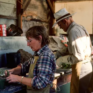 Ann Eldridge and Dara Emery potting plants