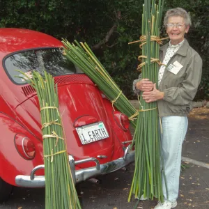 SBBG People - Avis Keedy