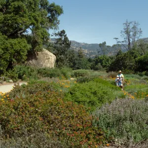 School Children's Tours and Classes, Docent tour in the Meadow