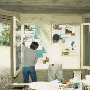 Nature Loves a Detective