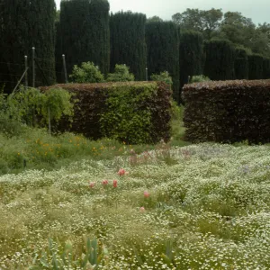 San Francisco Peninsula Trip with Mary Carroll and Lila Burgess