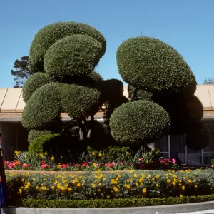 San Francisco Peninsula Trip with Mary Carroll and Lila Burgess