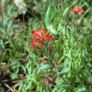 San Francisco Peninsula Trip with Mary Carroll and Lila Burgess