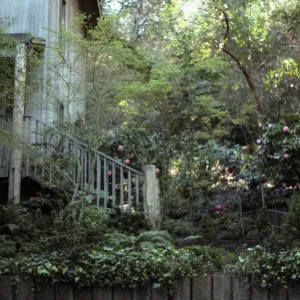 San Francisco Peninsula Trip with Mary Carroll and Lila Burgess