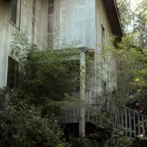 San Francisco Peninsula Trip with Mary Carroll and Lila Burgess