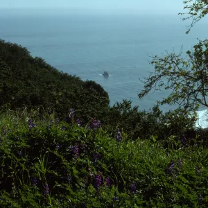 San Francisco Peninsula Trip with Mary Carroll and Lila Burgess