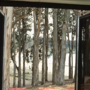 San Francisco Peninsula Trip with Mary Carroll and Lila Burgess