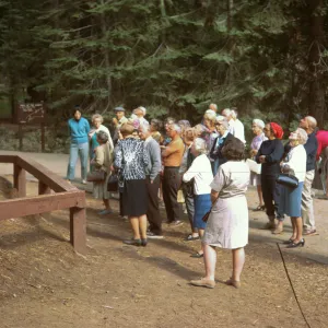 Bus trip, Sequoia NP, Grant Tree