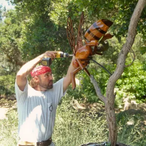 Big Bugs, Honey Bee setup