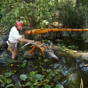 Big Bugs, Dragon Fly setup