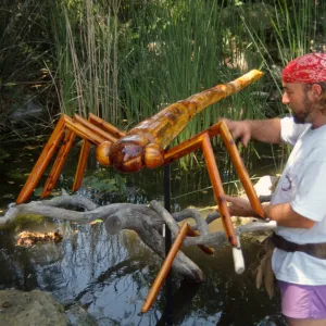 Big Bugs, Dragon Fly setup