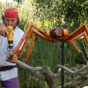 Big Bugs, Dragon Fly setup